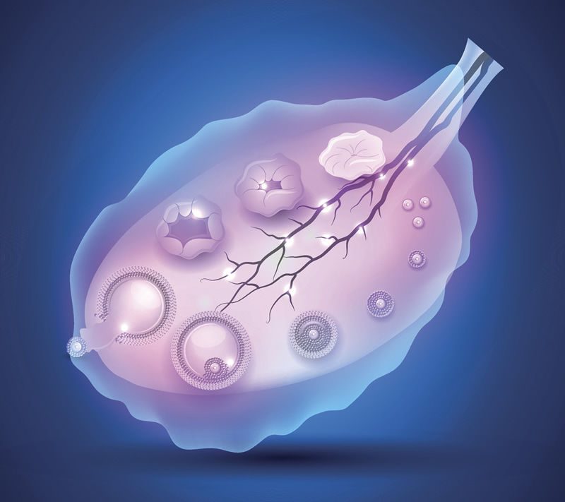 重庆试管医院排名榜（2026榜单出炉了）？